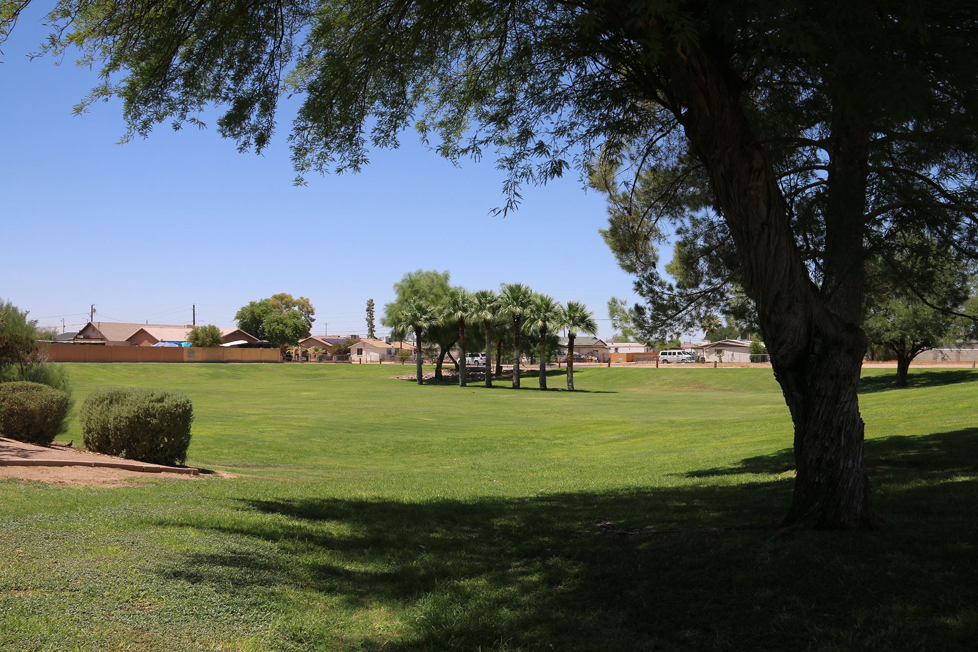 Albert Cruz Park Open Field