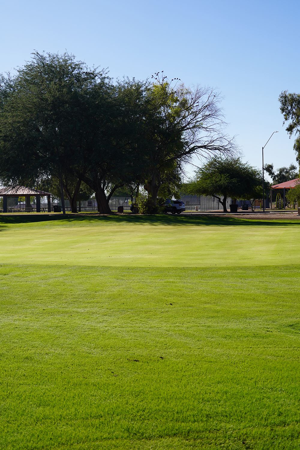 Manicured golf green bordered by large trees; shaded park area and small pavilion in the background.