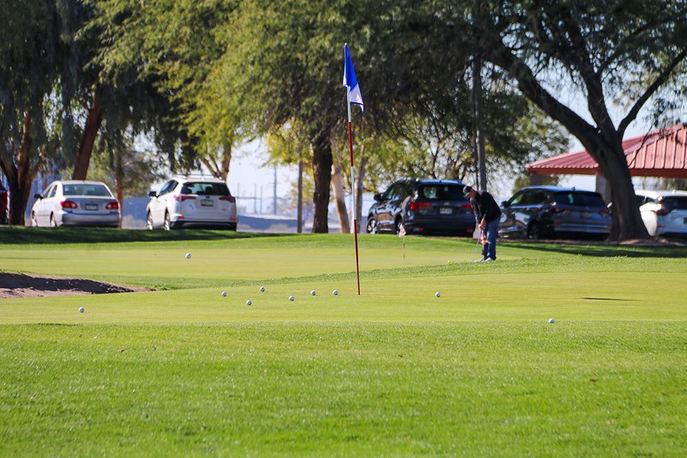 Golfer practices putting on a green scattered with golf balls, with a flag marking the hole.